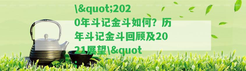 \"2020年斗記金斗怎樣？歷年斗記金斗回顧及2021展望\"