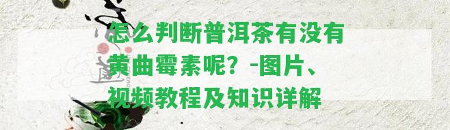 怎么判斷普洱茶有不存在黃曲霉素呢？-圖片、視頻教程及知識詳解