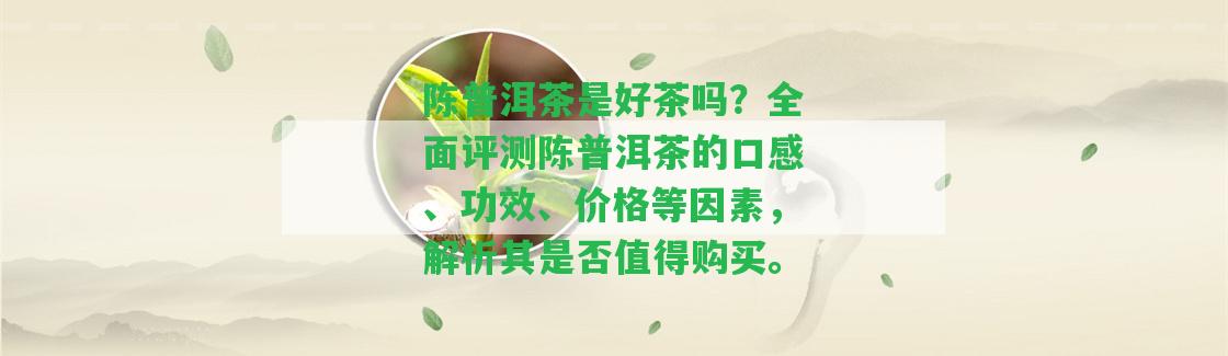 陳普洱茶是好茶嗎？全面評測陳普洱茶的口感、功效、價格等因素，解析其是不是值得購買。