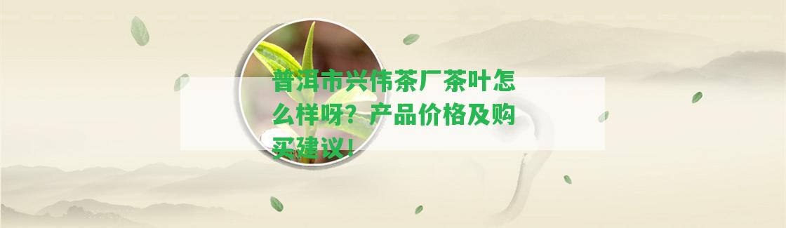 普洱市興偉茶廠茶葉怎么樣呀？產(chǎn)品價格及購買建議！