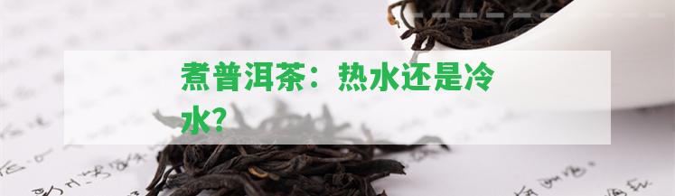 煮普洱茶：熱水還是冷水？