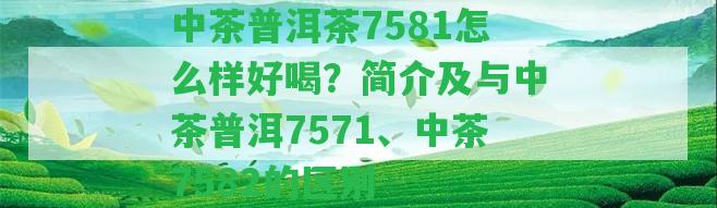 中茶普洱茶7581怎么樣好喝？簡介及與中茶普洱7571、中茶7582的區(qū)別