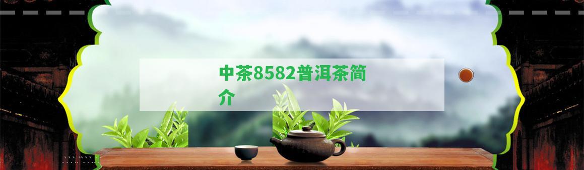 中茶8582普洱茶簡介