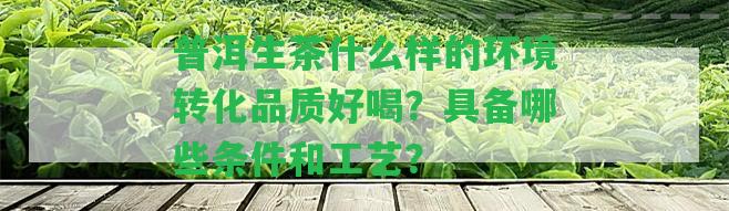 普洱生茶什么樣的環(huán)境轉(zhuǎn)化品質(zhì)好喝？具備哪些條件和工藝？