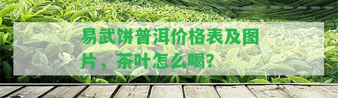 易武餅普洱價格表及圖片，茶葉怎么喝？