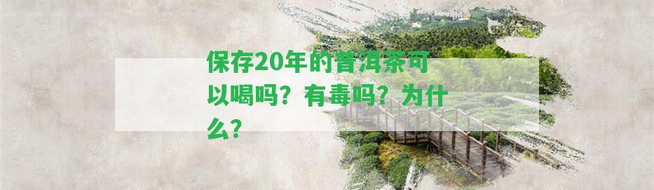 保存20年的普洱茶可以喝嗎？有毒嗎？為什么？