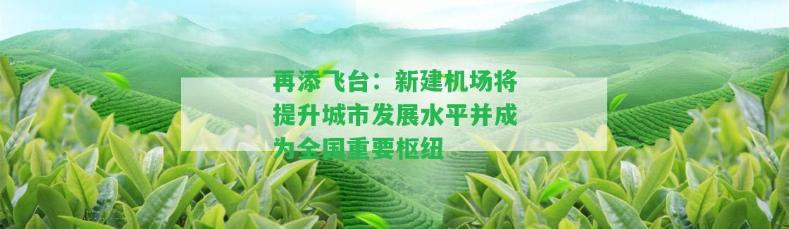 再添飛臺：新建機場將提升城市發(fā)展水平并成為全國關(guān)鍵樞紐