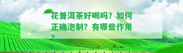 花普洱茶好喝嗎？怎樣正確泡制？有哪些作用？