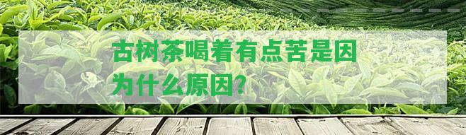 古樹茶喝著有點苦是因為什么起因？