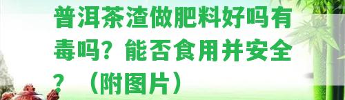 普洱茶渣做肥料好嗎有毒嗎？能否食用并安全？（附圖片）