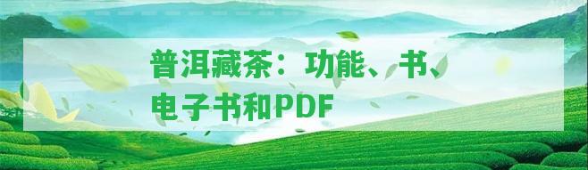 普洱藏茶：功能、書、電子書和PDF