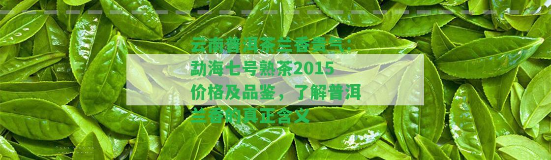 云南普洱茶蘭香貴氣：勐海七號熟茶2015價格及品鑒，熟悉普洱蘭香的真正含義