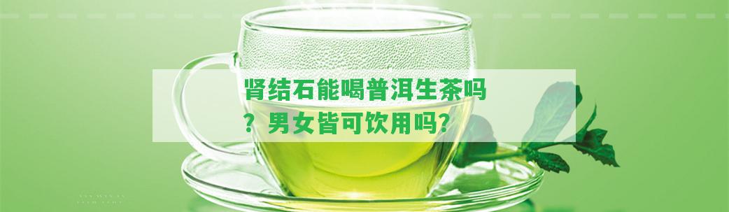 腎結(jié)石能喝普洱生茶嗎？男女皆可飲用嗎？