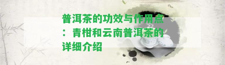 普洱茶的功效與作用點(diǎn)：青柑和云南普洱茶的詳細(xì)介紹