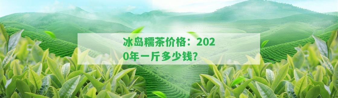 冰島糯茶價格：2020年一斤多少錢？