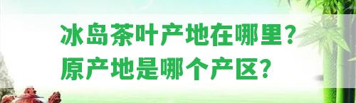 冰島茶葉產(chǎn)地在哪里？原產(chǎn)地是哪個(gè)產(chǎn)區(qū)？