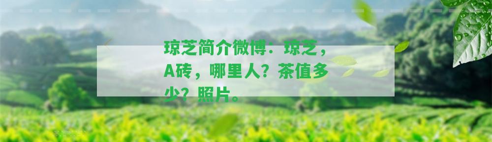 瓊芝簡(jiǎn)介微博：瓊芝，A磚，哪里人？茶值多少？照片。