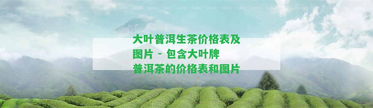 大葉普洱生茶價格表及圖片 - 包含大葉牌普洱茶的價格表和圖片