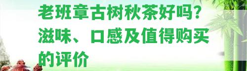 老班章古樹(shù)秋茶好嗎？滋味、口感及值得購(gòu)買(mǎi)的評(píng)價(jià)