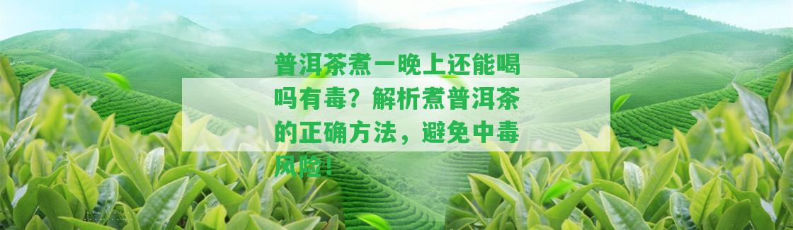 普洱茶煮一晚上還能喝嗎有毒？解析煮普洱茶的正確方法，避免中毒風險！