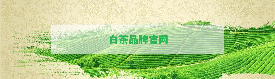 白茶品牌官網(wǎng)