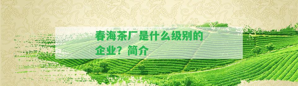 春海茶廠是什么級別的企業(yè)？簡介