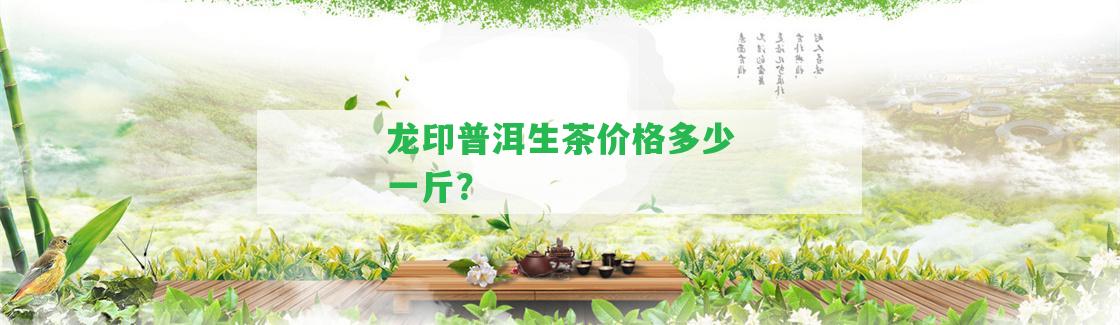 龍印普洱生茶價(jià)格多少一斤？