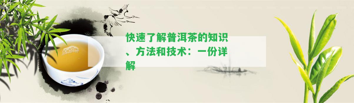 快速熟悉普洱茶的知識、方法和技術(shù)：一份詳解