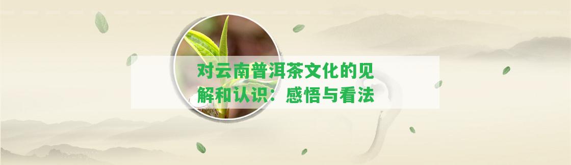 對云南普洱茶文化的見解和認(rèn)識：感悟與看法