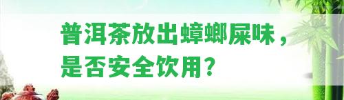 普洱茶放出蟑螂屎味，是不是安全飲用？