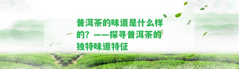 普洱茶的味道是什么樣的？——探尋普洱茶的特別味道特征