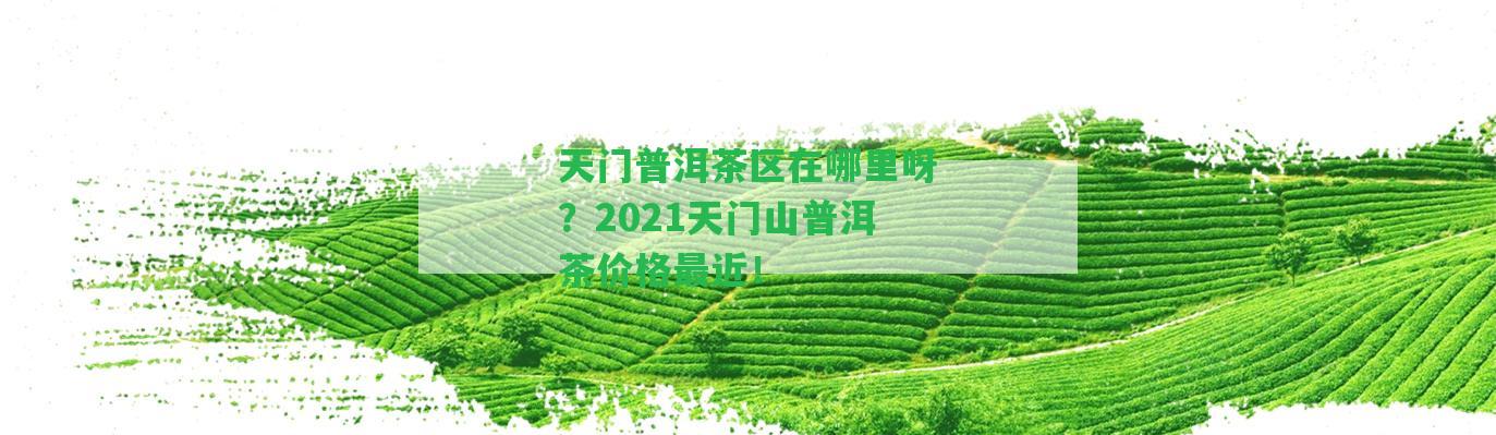 天門普洱茶區(qū)在哪里呀？2021天門山普洱茶價(jià)格最近！