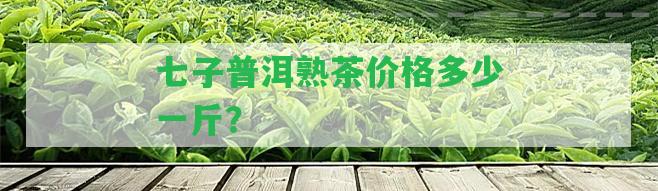 七子普洱熟茶價(jià)格多少一斤？