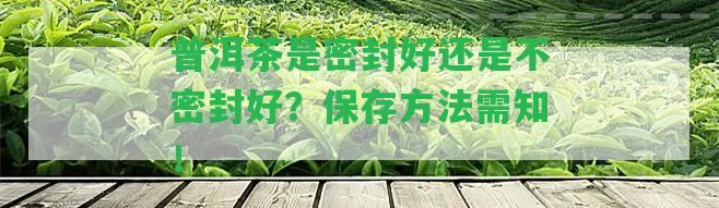 普洱茶是密封好還是不密封好？保存方法需知！