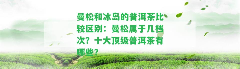 曼松和冰島的普洱茶比較區(qū)別：曼松屬于幾檔次？十大頂級(jí)普洱茶有哪些？