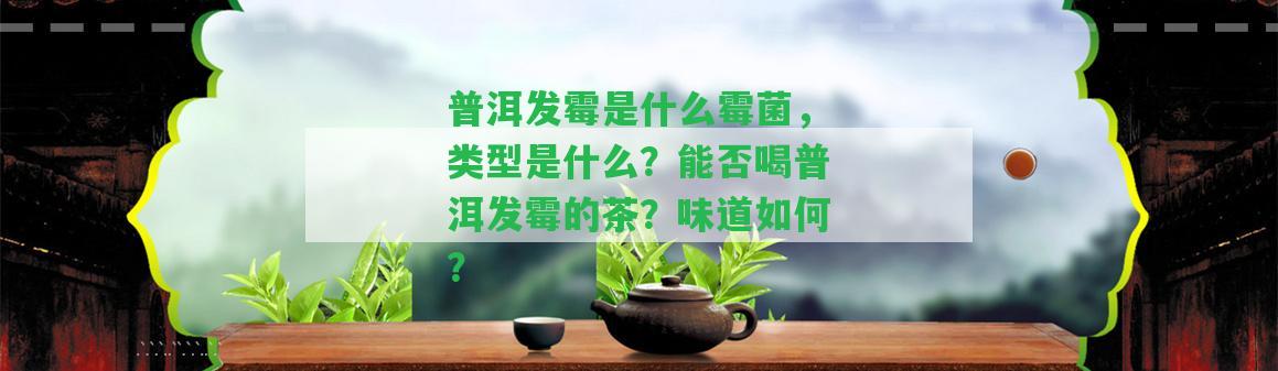 普洱發(fā)霉是什么霉菌，類型是什么？能否喝普洱發(fā)霉的茶？味道怎樣？