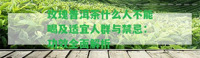 玫瑰普洱茶什么人不能喝及適宜人群與禁忌：功效全面解析