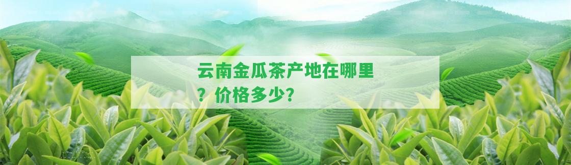 云南金瓜茶產(chǎn)地在哪里？價格多少？