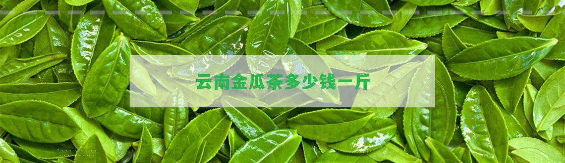 云南金瓜茶多少錢(qián)一斤