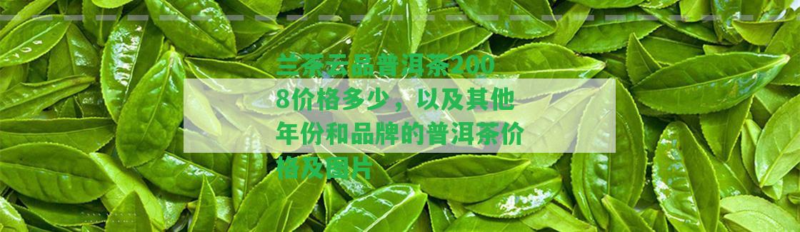 蘭茶云品普洱茶2008價格多少，以及其他年份和品牌的普洱茶價格及圖片