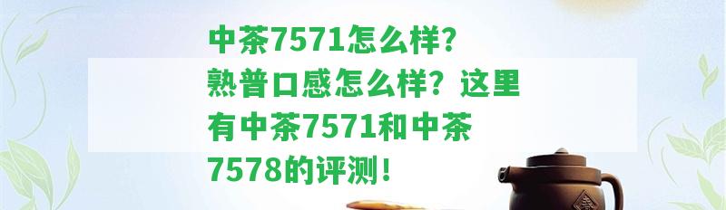 中茶7571怎么樣？熟普口感怎么樣？這里有中茶7571和中茶7578的評測！