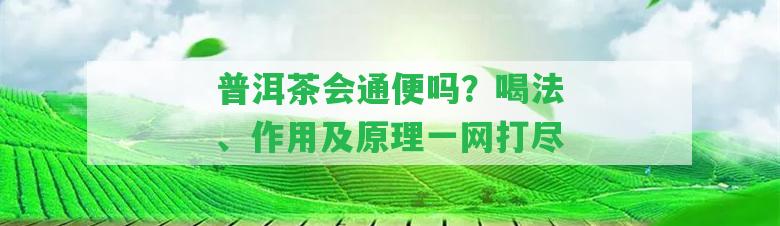 普洱茶會通便嗎？喝法、作用及原理一網(wǎng)打盡