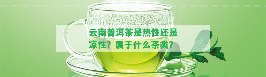 云南普洱茶是熱性還是涼性？屬于什么茶類？