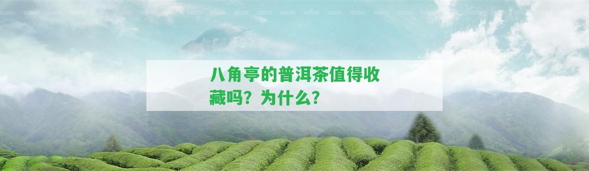 八角亭的普洱茶值得收藏嗎？為什么？