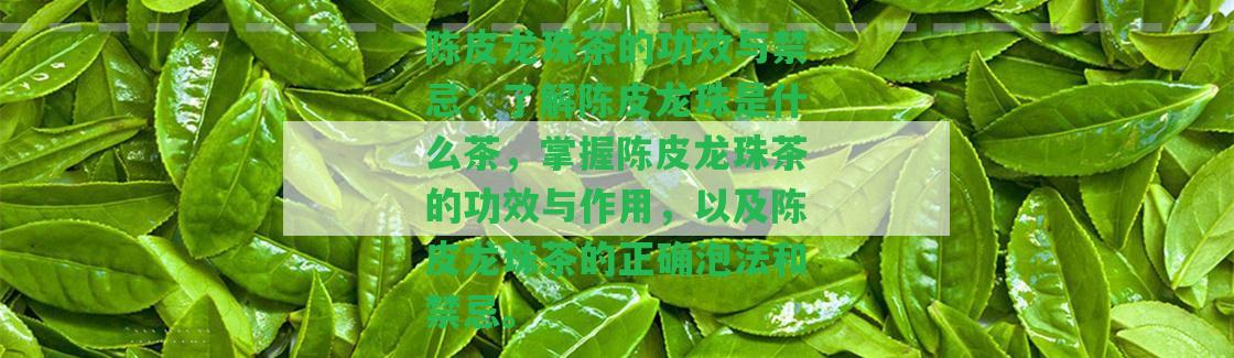 陳皮龍珠茶的功效與禁忌：熟悉陳皮龍珠是什么茶，掌握陳皮龍珠茶的功效與作用，以及陳皮龍珠茶的正確泡法和禁忌。