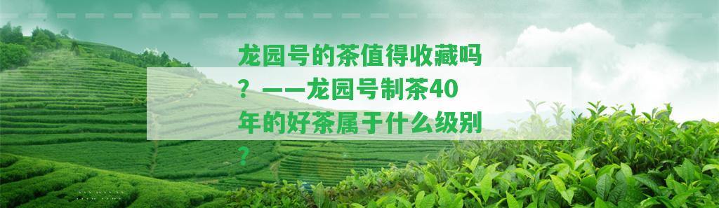 龍園號(hào)的茶值得收藏嗎？——龍園號(hào)制茶40年的好茶屬于什么級(jí)別？