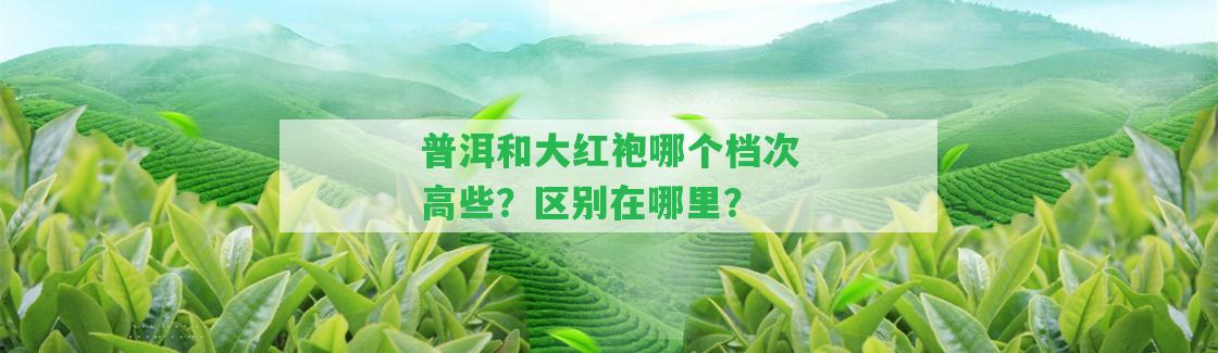 普洱和大紅袍哪個(gè)檔次高些？區(qū)別在哪里？