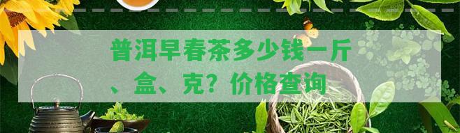 普洱早春茶多少錢一斤、盒、克？價格查詢