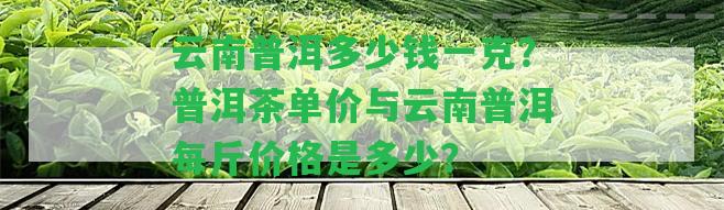 云南普洱多少錢一克？普洱茶單價與云南普洱每斤價格是多少？