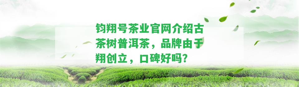 鈞翔號茶業(yè)官網(wǎng)介紹古茶樹普洱茶，品牌由于翔創(chuàng)立，口碑好嗎？